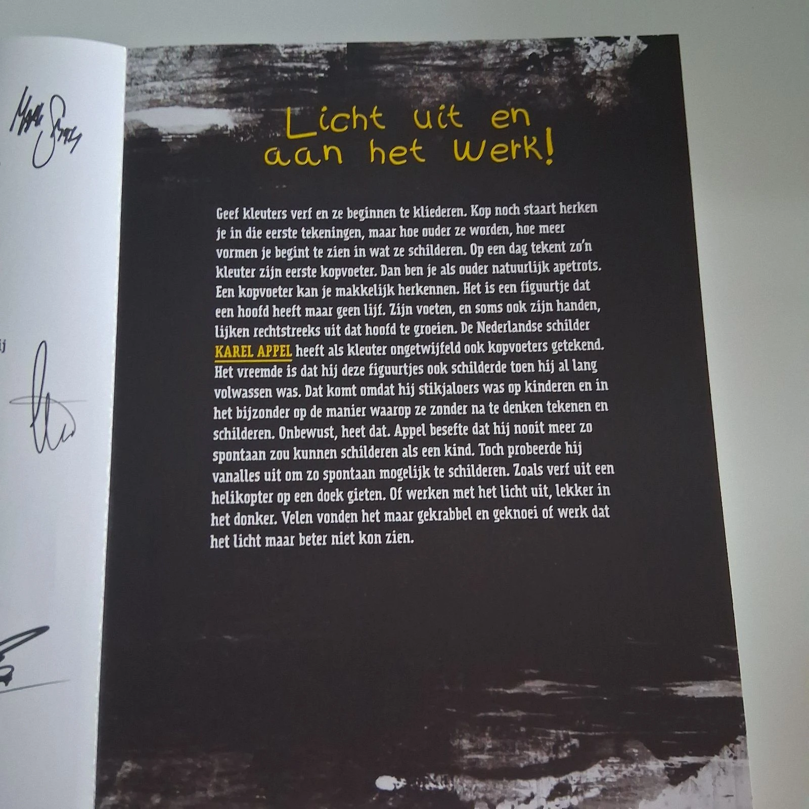 Livre pour enfants - Peter Slabbynck et Veerle Jacobs - Oh, ce n'est qu'un Van Gogh – photo 4